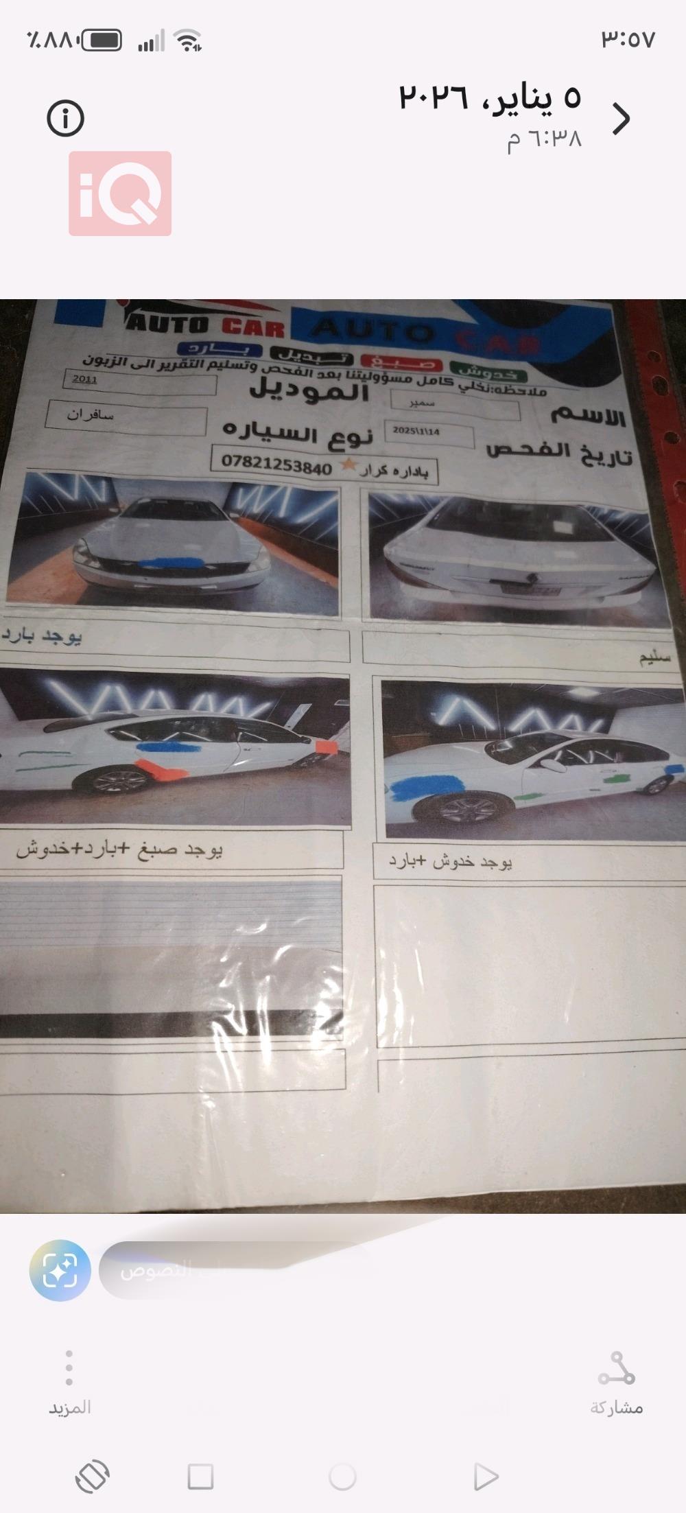 رينو سافران